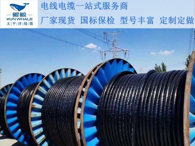 鄭州電纜廠淺談電纜著火怎么辦呢？撲救辦法在這里